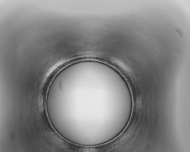 X0000115141310200911101659