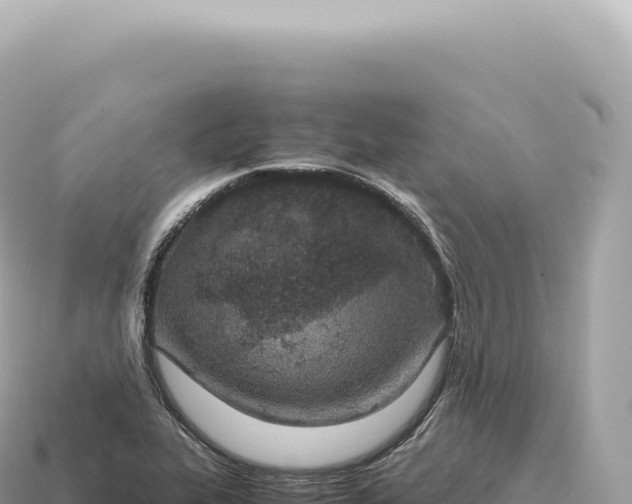 X0000115141319200911101659