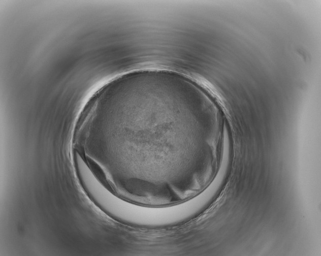 X0000115141334200911101659