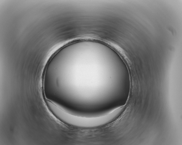 X0000115141335200911101659
