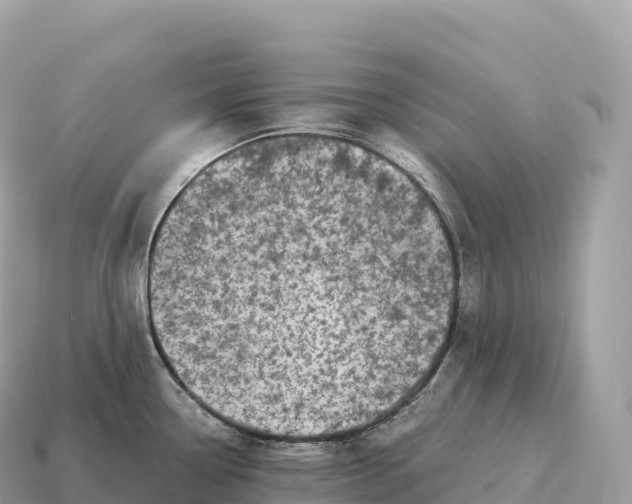 X0000115141338200911101659