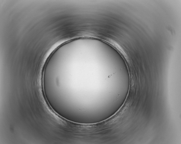 X0000115141339200911101700