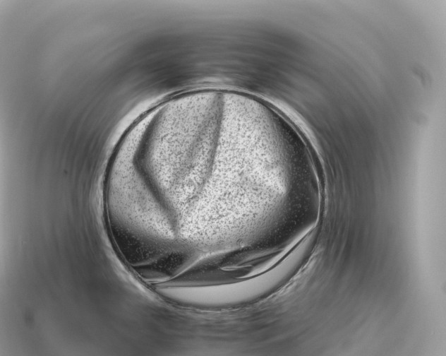 X0000115141341200911101700