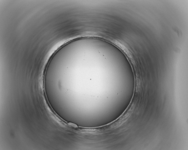 X0000115141342200911101700