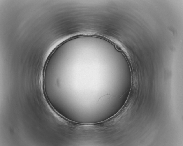 X0000115141343200911101700
