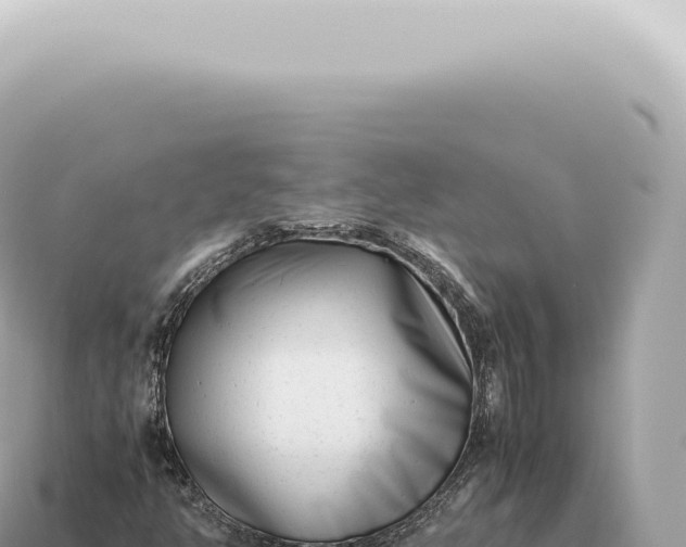 X0000115141350200911101659