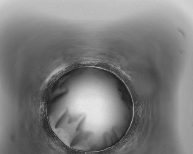 X0000115141351200911101659