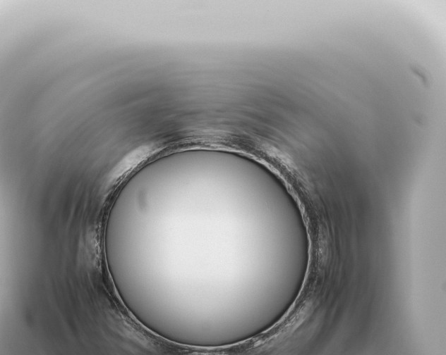 X0000115141354200911101659