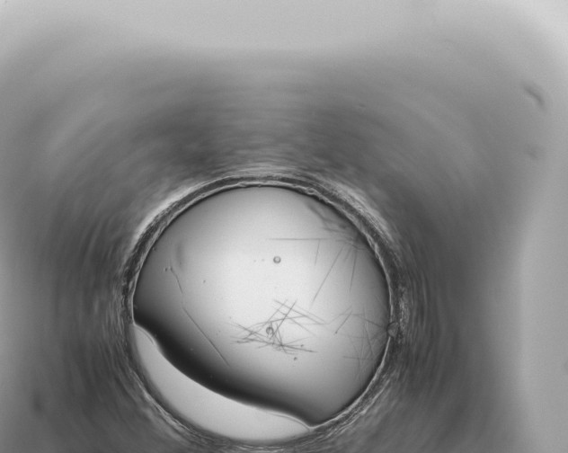 X0000115141356200911101659