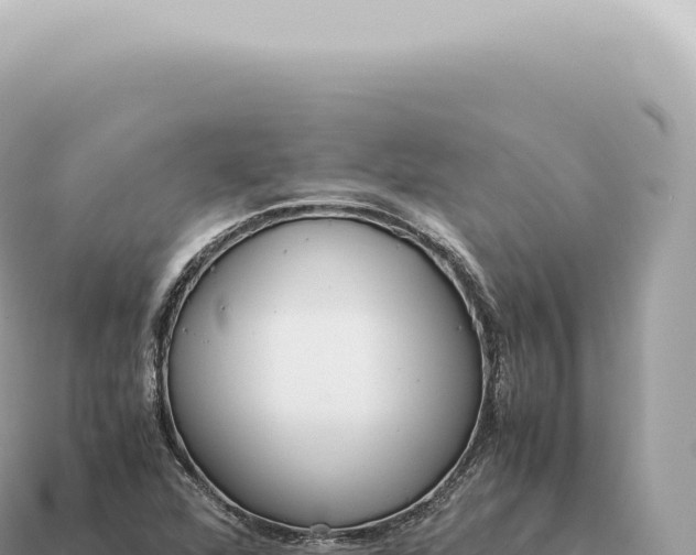 X0000115141360200911101659