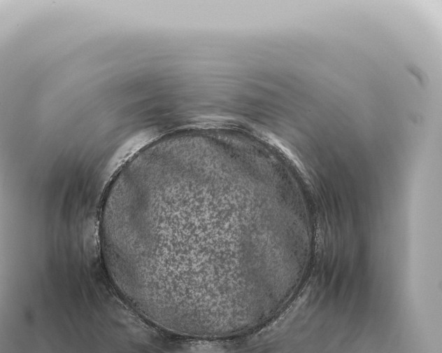 X0000115141362200911101659