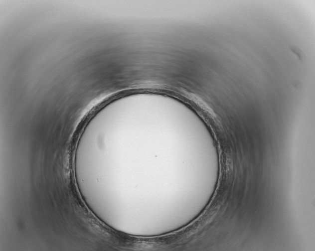 X0000115141364200911101659
