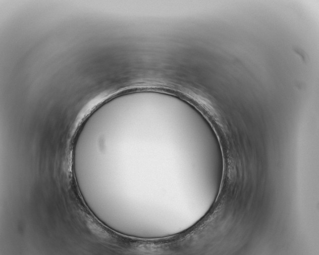 X0000115141366200911101659