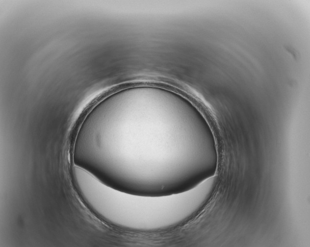 X0000115141368200911101659