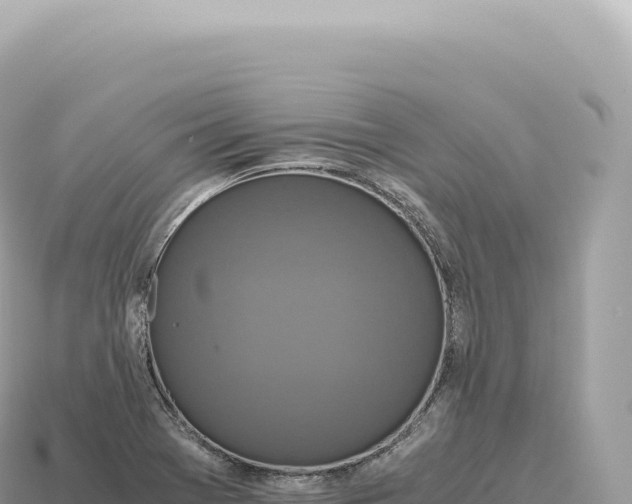 X0000115141369200911101659