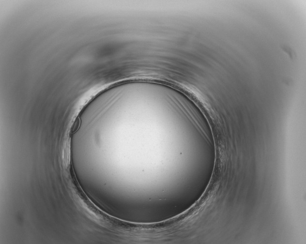 X0000115141371200911101659