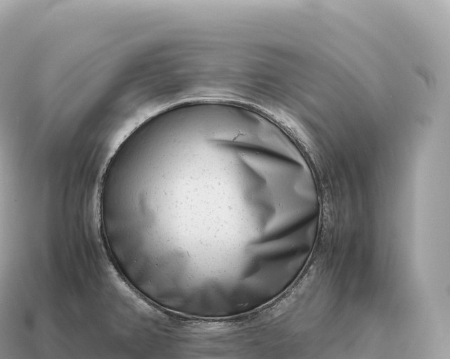 X0000115141382200911101658