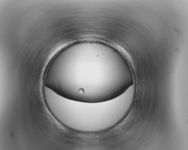 X0000115141384200911101658