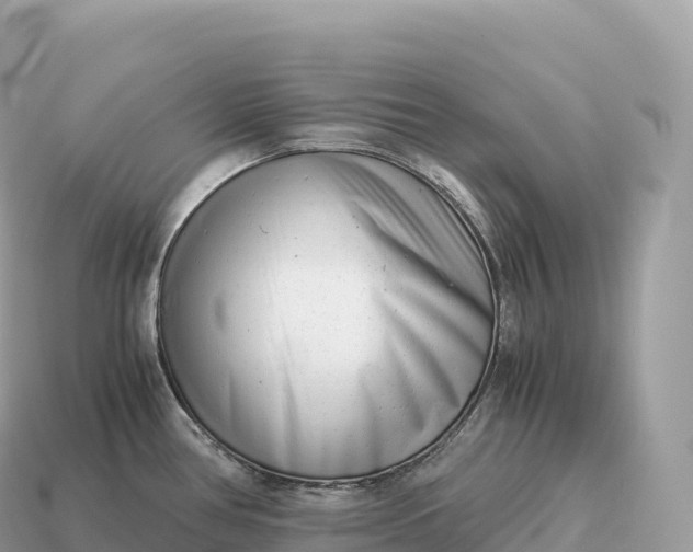 X0000115141386200911101658