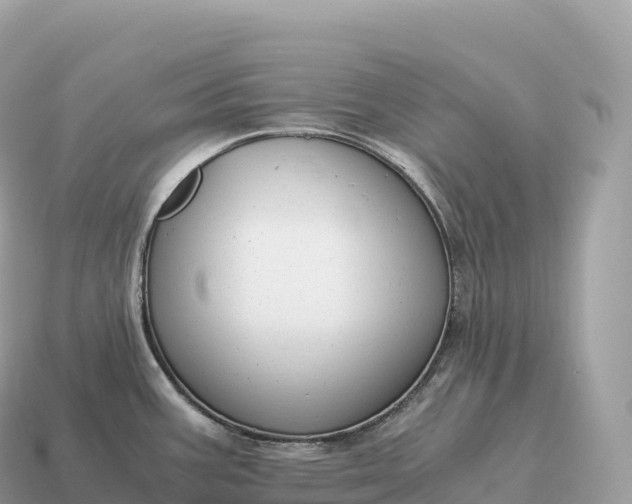 X0000115141387200911101658