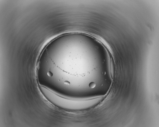 X0000115141388200911101658