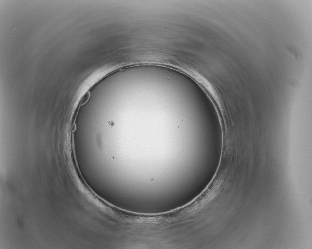 X0000115141389200911101658