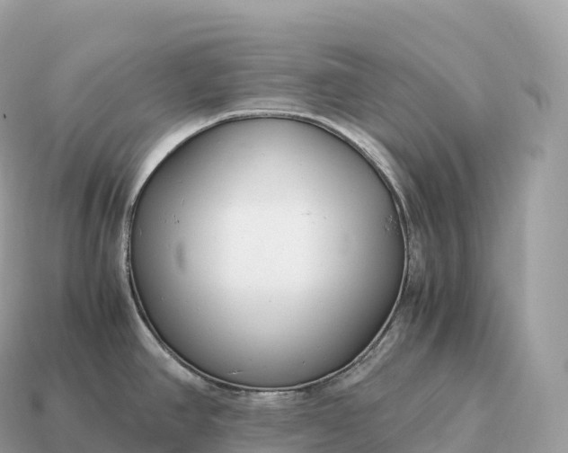 X0000115141390200911101658