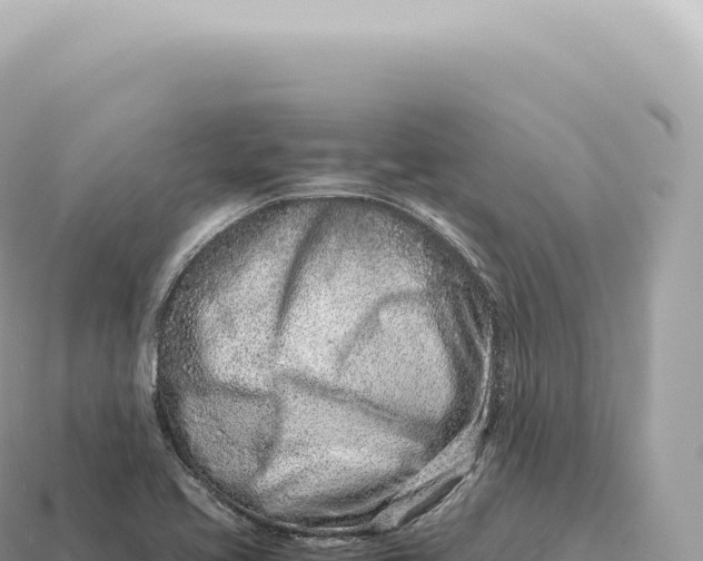 X0000115141413200911101658