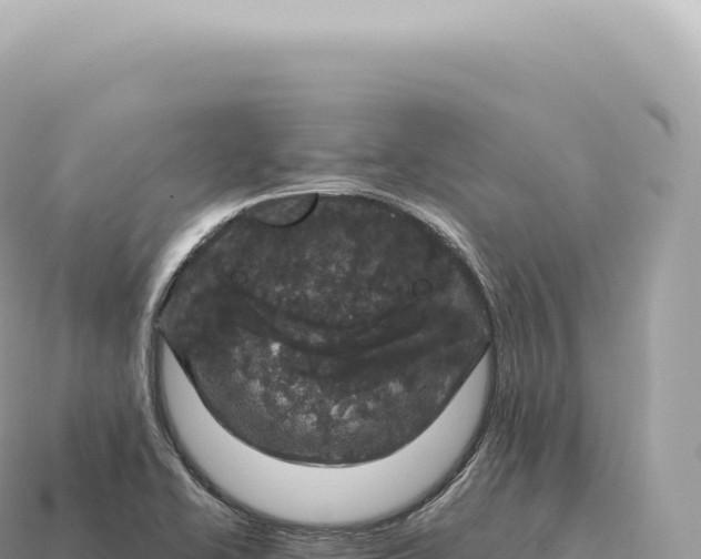 X0000115141414200911101658