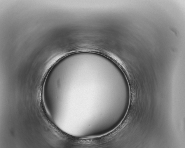 X0000115141415200911101658