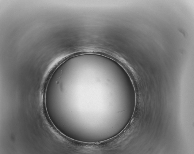 X0000115141416200911101658
