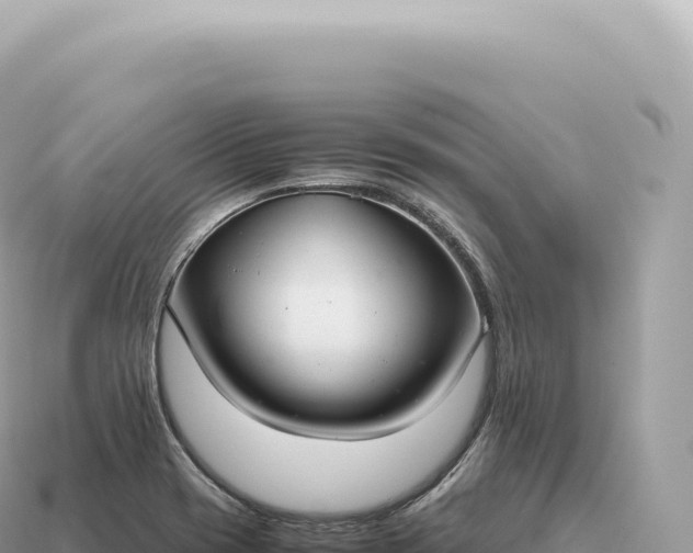 X0000115141417200911101658