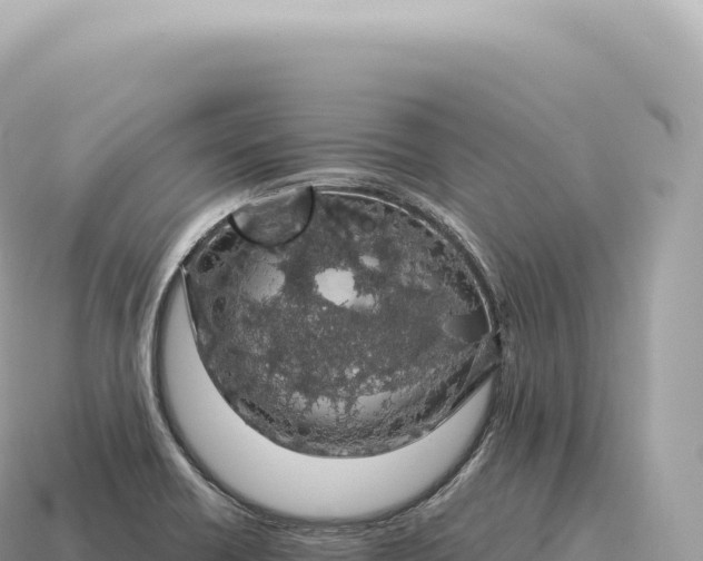 X0000115141418200911101658