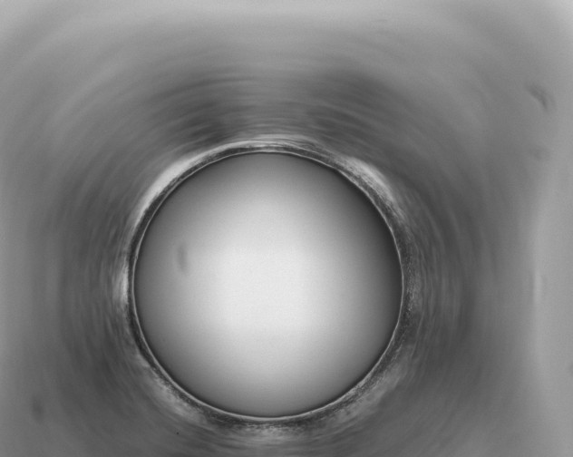 X0000115141420200911101658