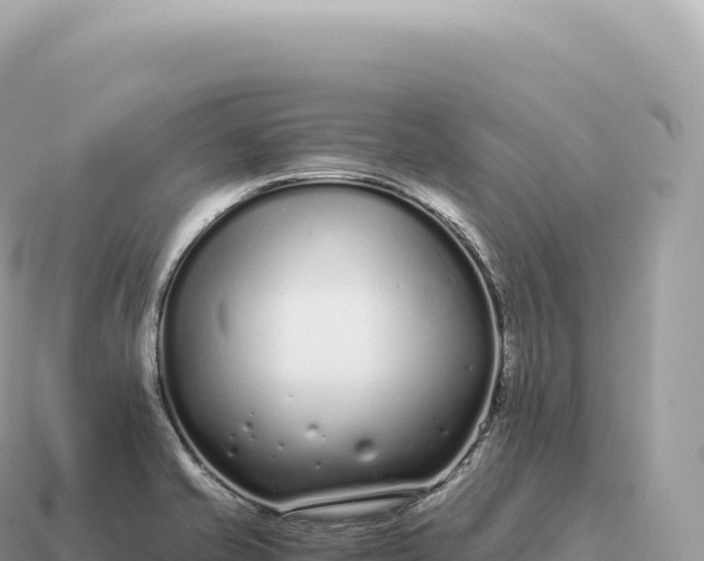 X0000115141421200911101658