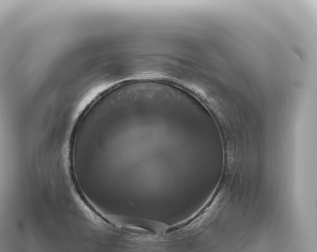 X0000115141422200911101658