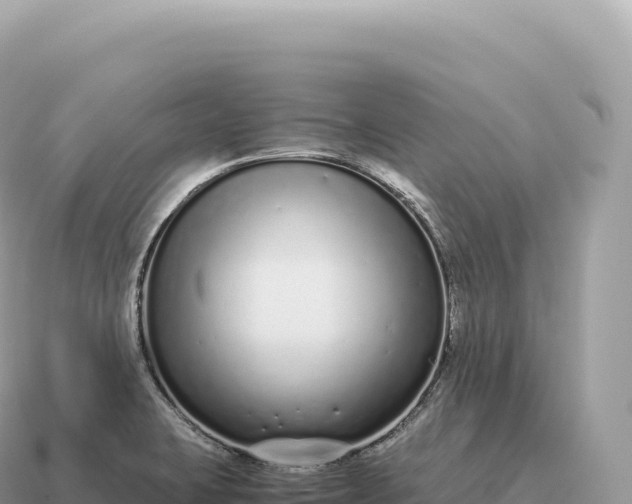 X0000115141423200911101658