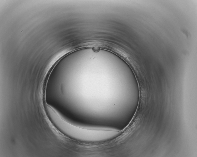 X0000115141426200911101658