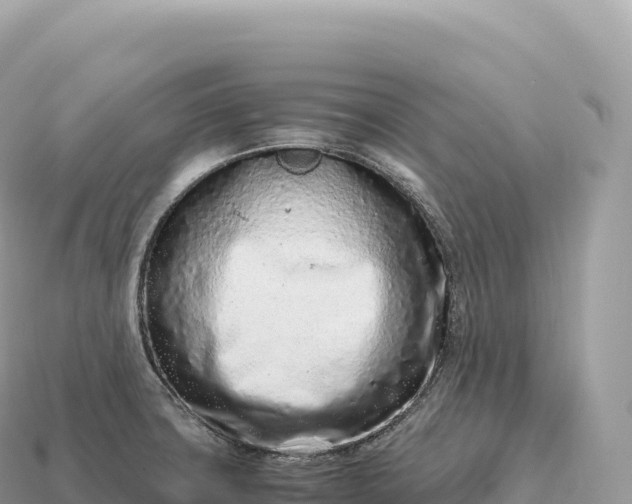 X0000115141427200911101658