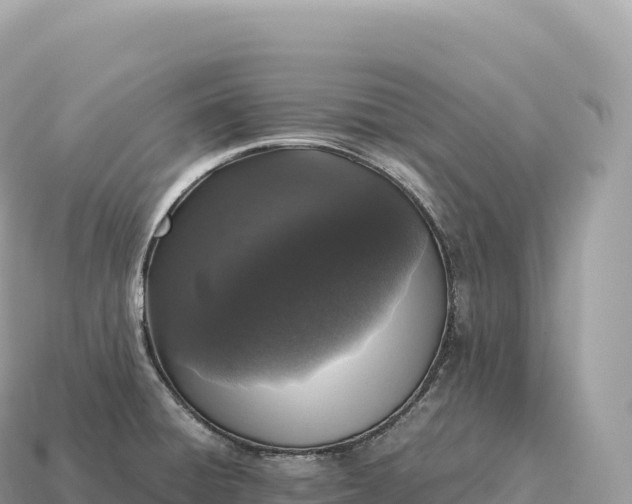 X0000115141428200911101658