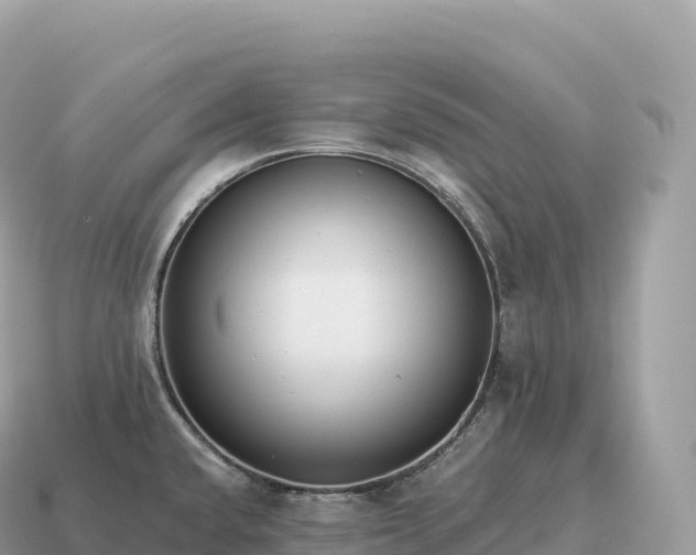 X0000115141432200911101658