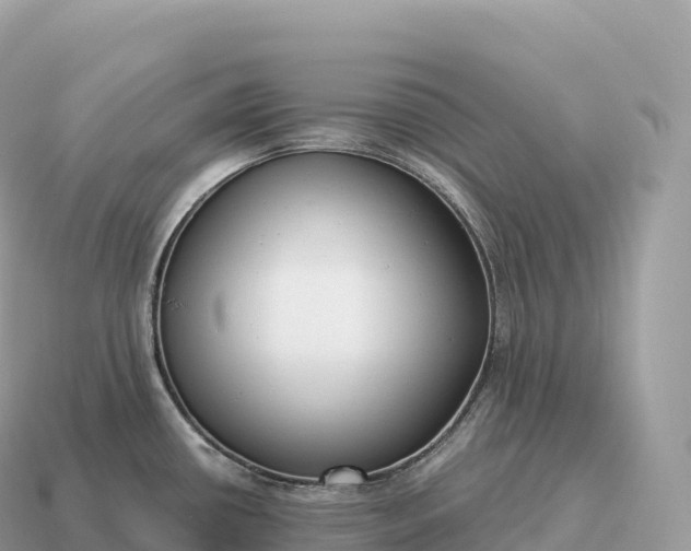 X0000115141434200911101658