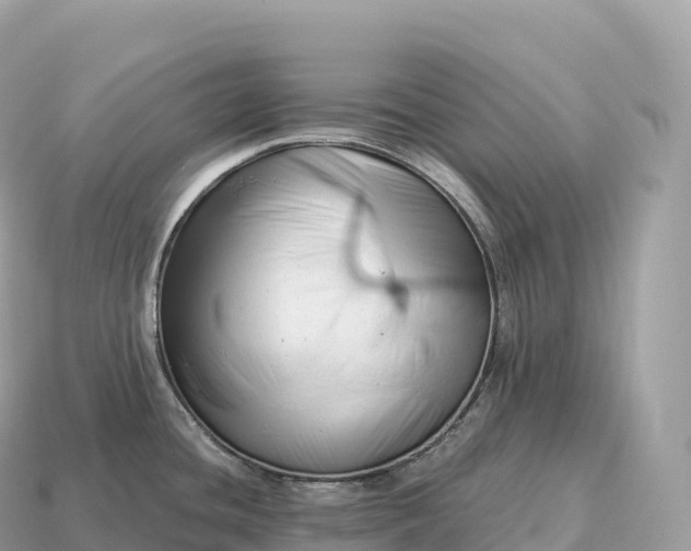 X0000115141436200911101658