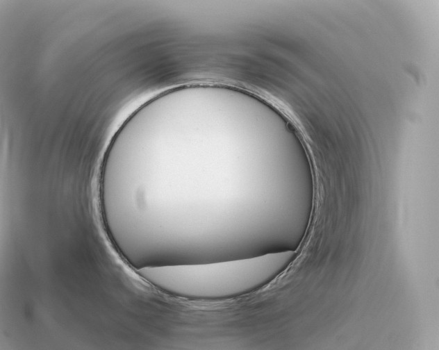 X0000115141440200911101658