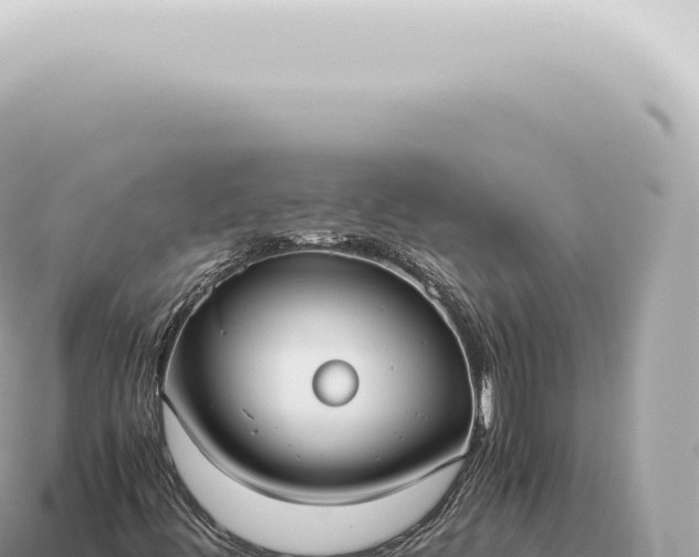 X0000115141444200911101658