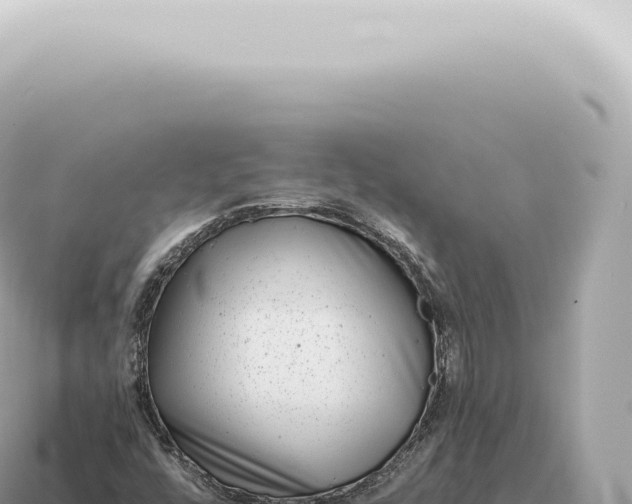 X0000115141448200911101657