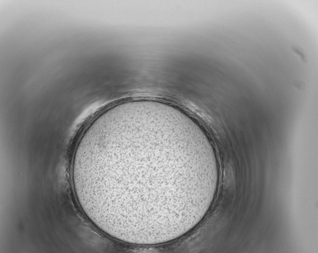 X0000115141454200911101657