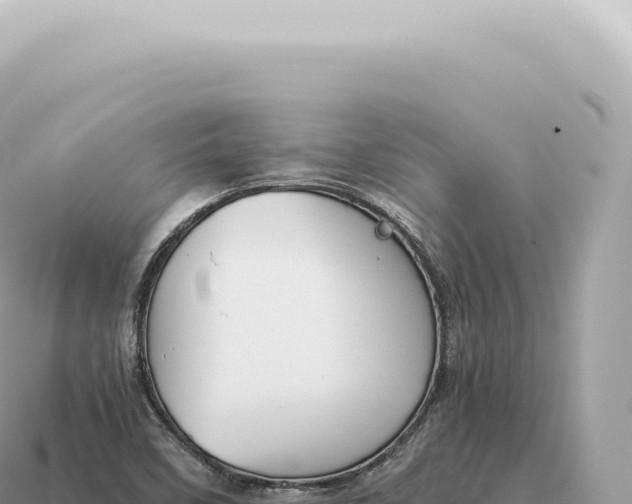 X0000115141458200911101657