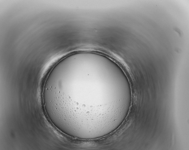 X0000115141464200911101657