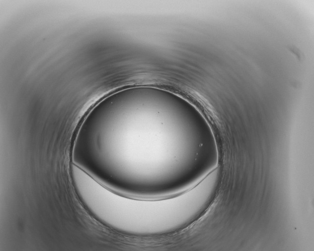 X0000115141465200911101657